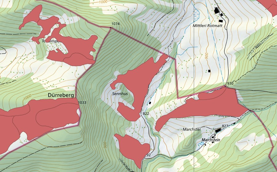 Landeskarte swisstopo mit dem Schutzperimeter von Marchstei (Trockenwiese)