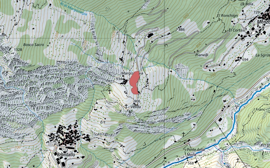 Landeskarte swisstopo mit dem Schutzperimeter von Margonègia (Trockenwiese)