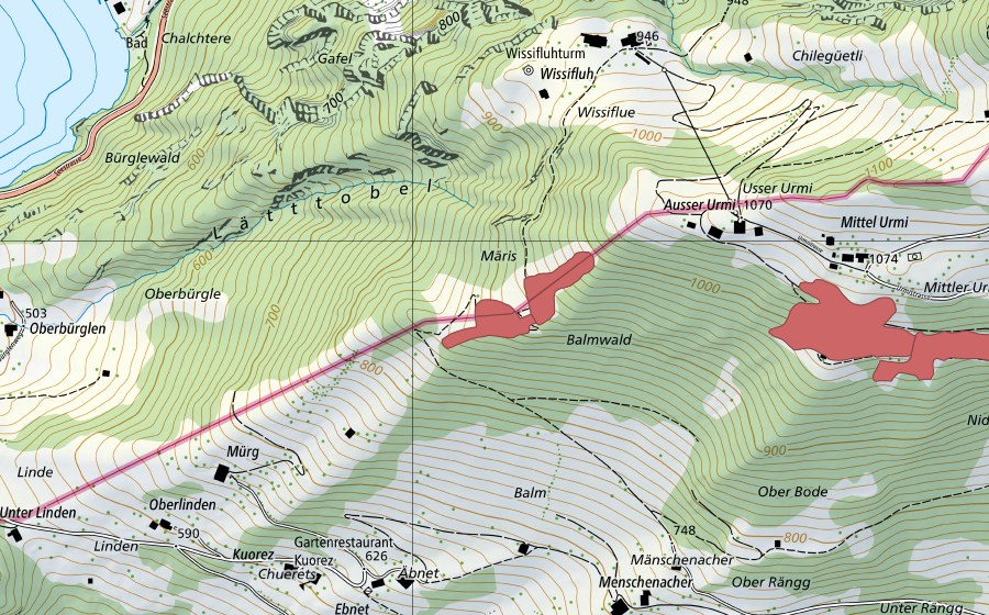 Landeskarte swisstopo mit dem Schutzperimeter von Märis (Trockenwiese)
