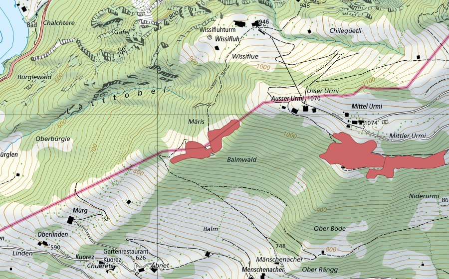 swisstopo national map showing the protected perimeter of Märis (Dry meadow)