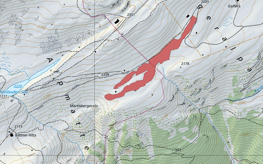 Landeskarte swisstopo mit dem Schutzperimeter von Martisbergeralp (Trockenwiese)