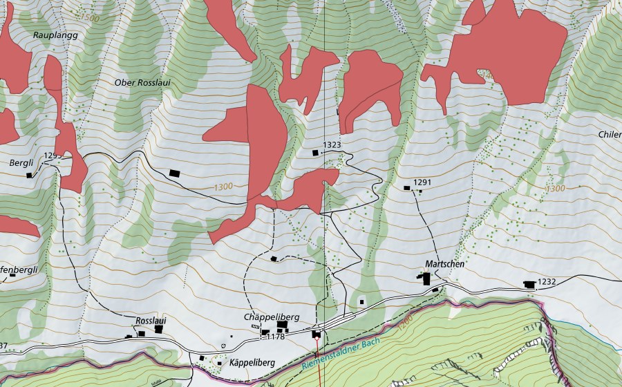 Landeskarte swisstopo mit dem Schutzperimeter von Martschen (Trockenwiese)