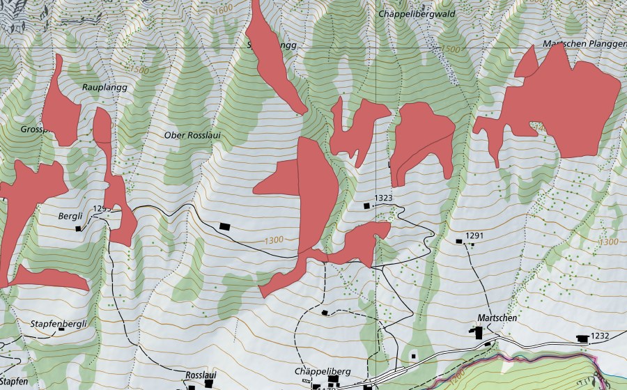 Landeskarte swisstopo mit dem Schutzperimeter von Martschen (Trockenwiese)