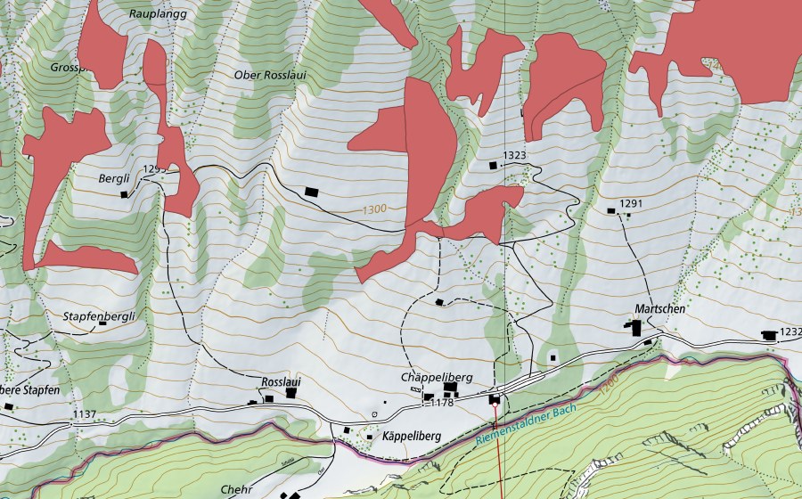 Landeskarte swisstopo mit dem Schutzperimeter von Martschen (Trockenwiese)