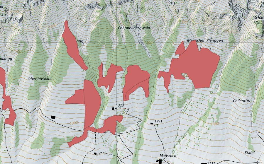 Landeskarte swisstopo mit dem Schutzperimeter von Martschen (Trockenwiese)