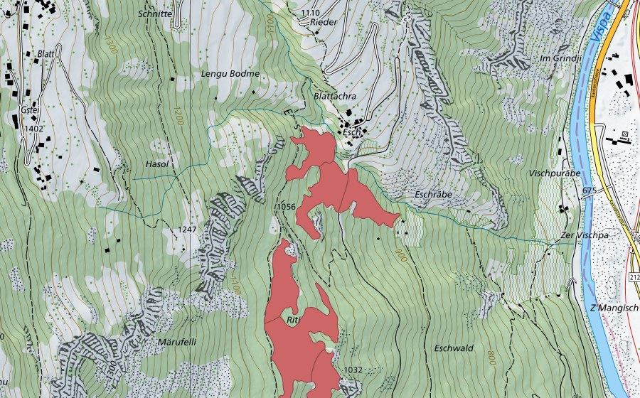 swisstopo national map showing the protected perimeter of Märufälli (Dry meadow)