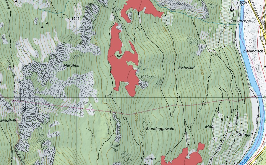 Landeskarte swisstopo mit dem Schutzperimeter von Märufälli (Trockenwiese)