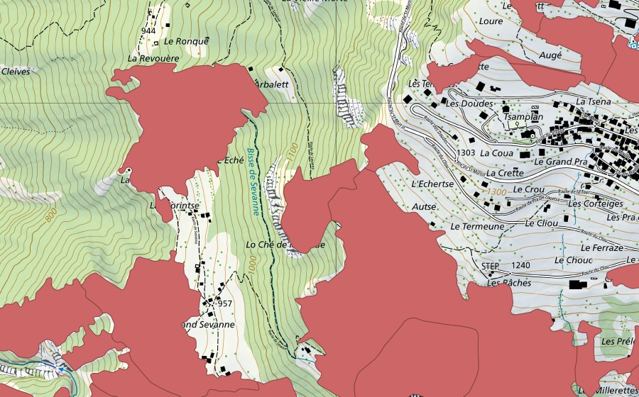 swisstopo national map showing the protected perimeter of Mase (Dry meadow)