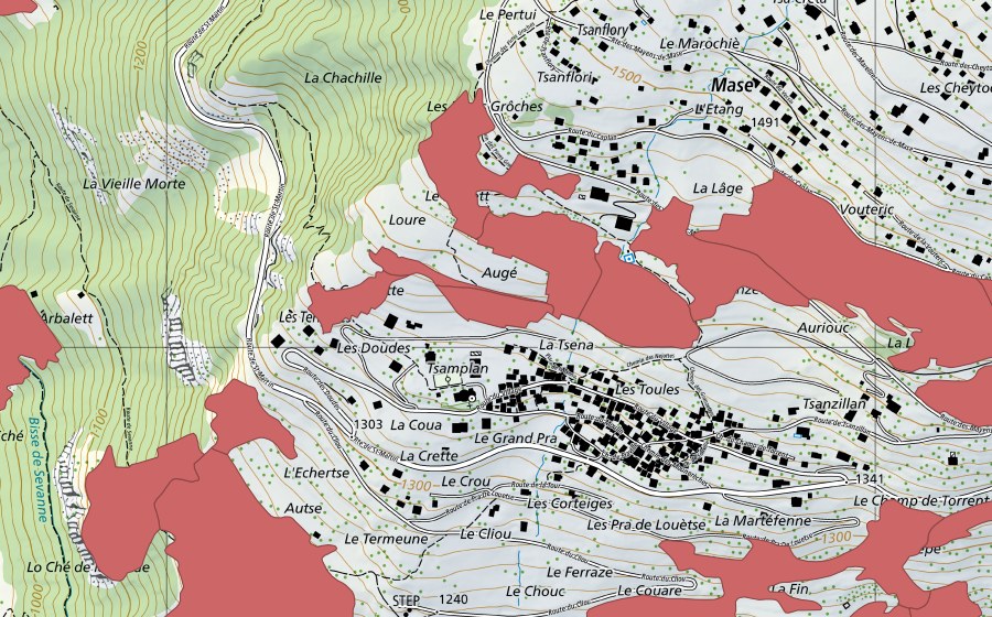 swisstopo national map showing the protected perimeter of Mase (Dry meadow)