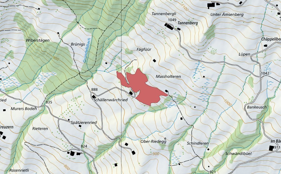 swisstopo national map showing the protected perimeter of Masholdern (Dry meadow)