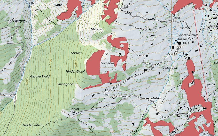 swisstopo national map showing the protected perimeter of Mataun (Dry meadow)