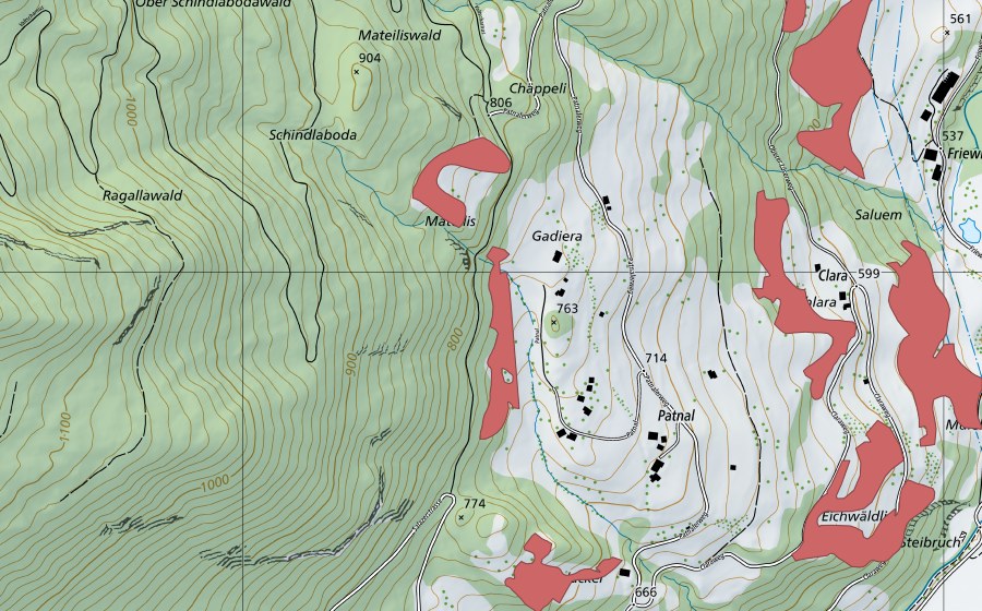 Landeskarte swisstopo mit dem Schutzperimeter von Mateilis (Trockenwiese)