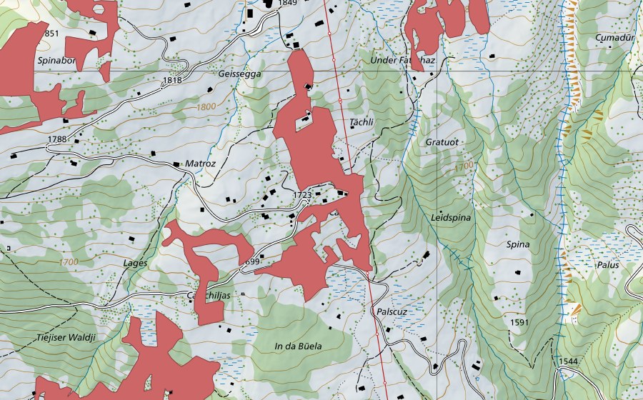 swisstopo national map showing the protected perimeter of Matroz (Dry meadow)