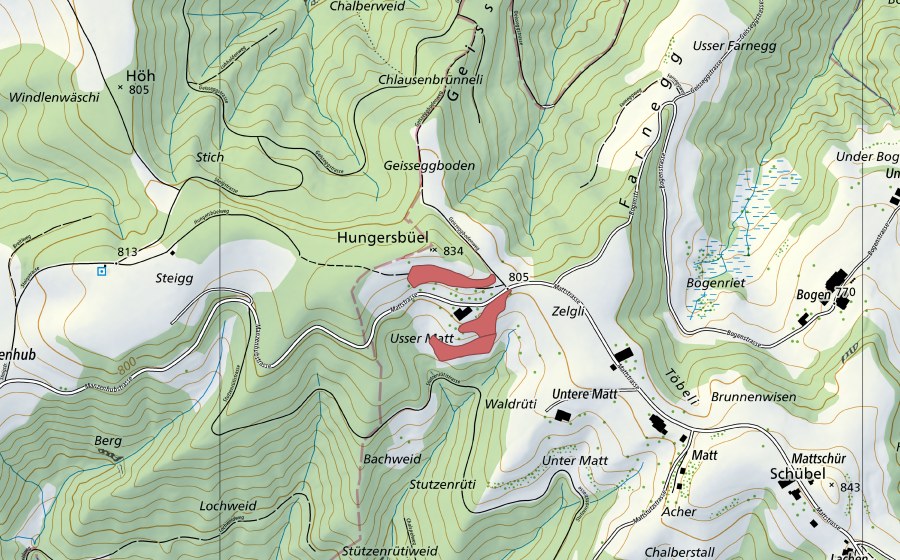 swisstopo national map showing the protected perimeter of Matt (Dry meadow)