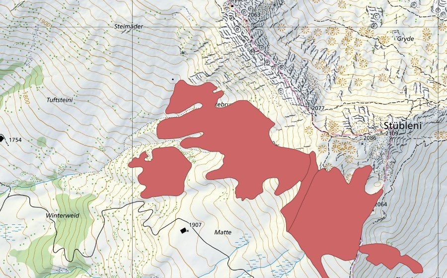Landeskarte swisstopo mit dem Schutzperimeter von Matte (Trockenwiese)