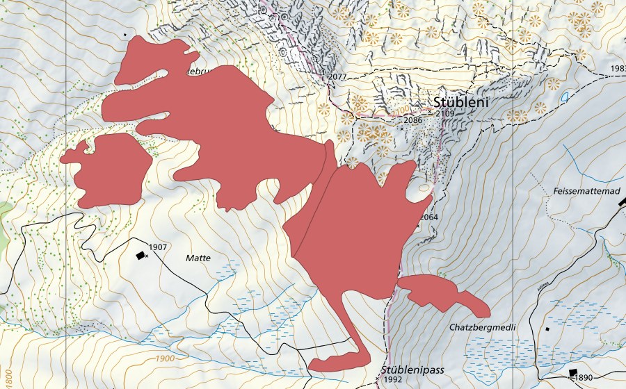 swisstopo national map showing the protected perimeter of Matte (Dry meadow)