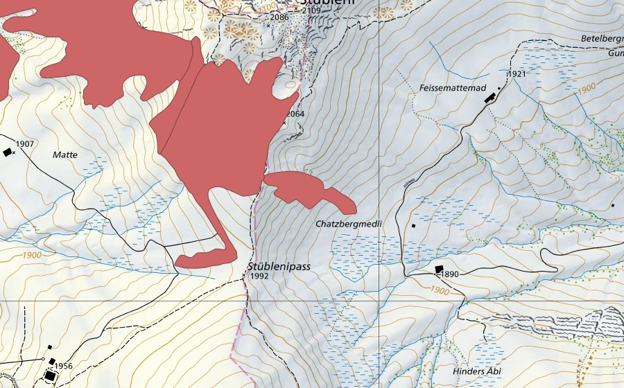 Landeskarte swisstopo mit dem Schutzperimeter von Matte (Trockenwiese)