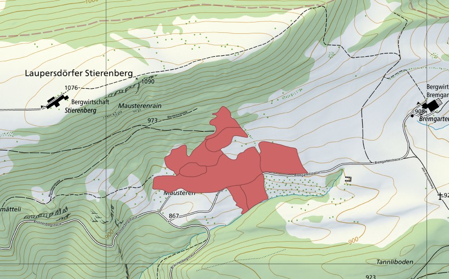swisstopo national map showing the protected perimeter of Mausteren (Dry meadow)