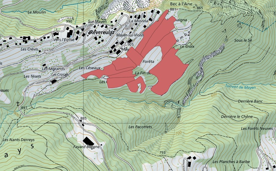swisstopo national map showing the protected perimeter of Mayen (Dry meadow)