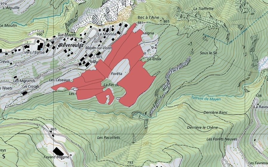 Landeskarte swisstopo mit dem Schutzperimeter von Mayen (Trockenwiese)