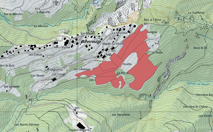 Landeskarte swisstopo mit dem Schutzperimeter von Mayen (Trockenwiese)