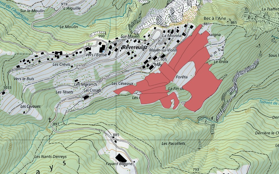 Landeskarte swisstopo mit dem Schutzperimeter von Mayen (Trockenwiese)