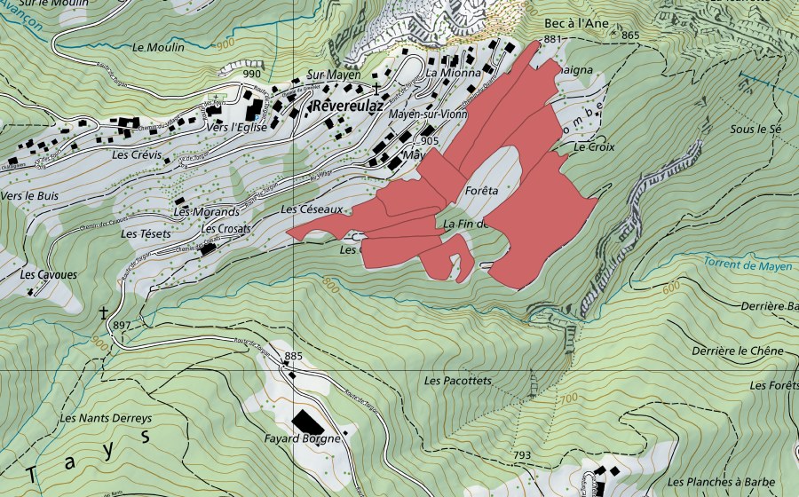 swisstopo national map showing the protected perimeter of Mayen (Dry meadow)