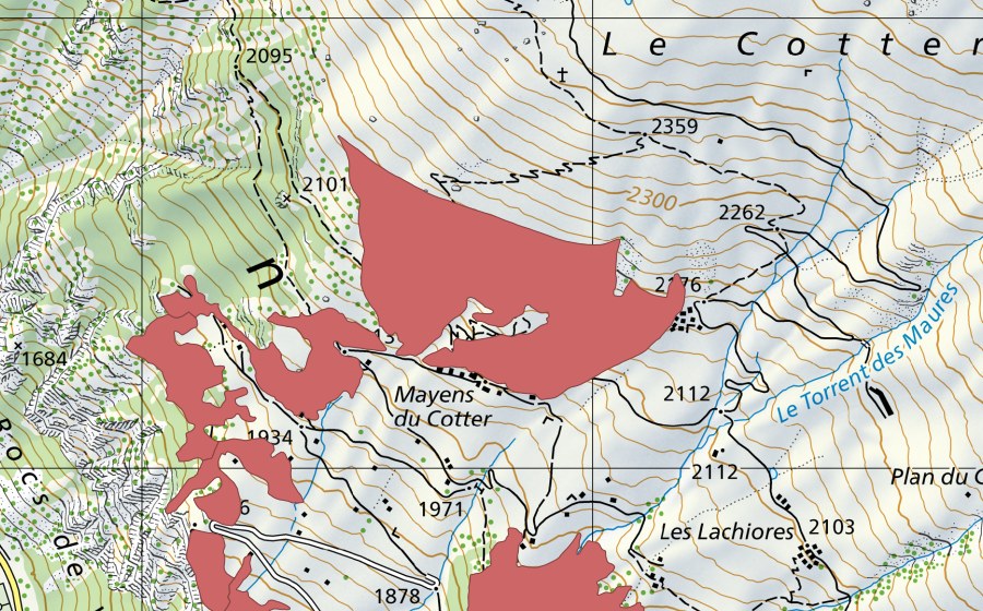 Landeskarte swisstopo mit dem Schutzperimeter von Mayens de Cotter (Trockenwiese)