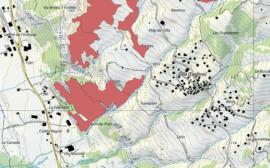 Landeskarte swisstopo mit dem Schutzperimeter von Mayens de Cotter (Trockenwiese)