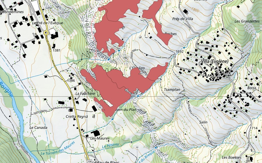 Landeskarte swisstopo mit dem Schutzperimeter von Mayens de Cotter (Trockenwiese)