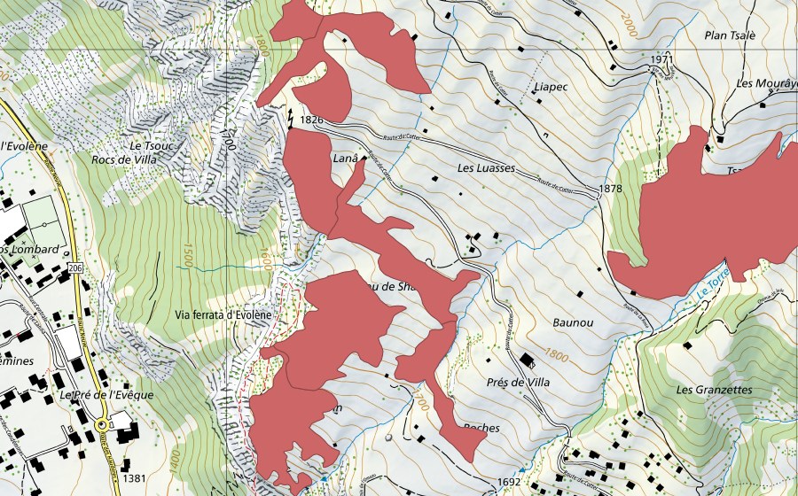 Landeskarte swisstopo mit dem Schutzperimeter von Mayens de Cotter (Trockenwiese)