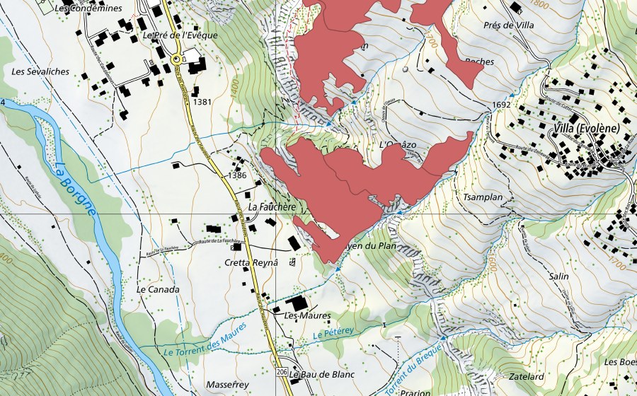 swisstopo national map showing the protected perimeter of Mayens de Cotter (Dry meadow)