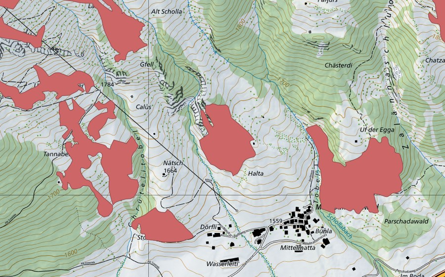 swisstopo national map showing the protected perimeter of Medels (Dry meadow)