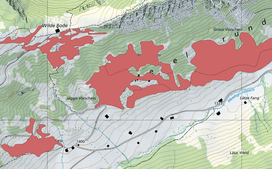 swisstopo national map showing the protected perimeter of Meielsgrund (Dry meadow)