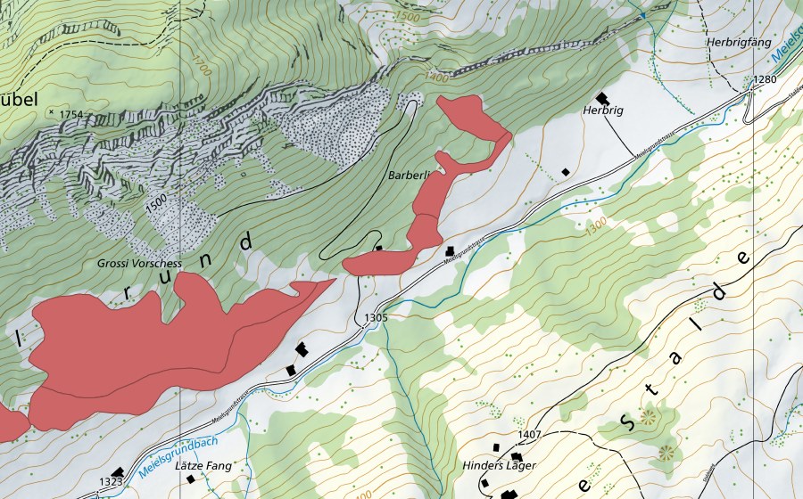 Carta nazionale swisstopo con il perimetro protetto di Meielsgrund (Prato secco)