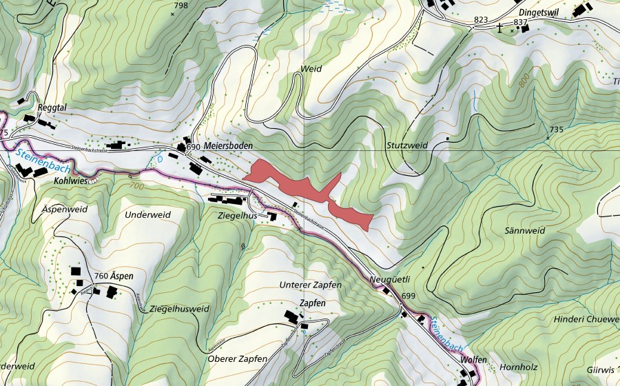 Carta nazionale swisstopo con il perimetro protetto di Meiersbode (Prato secco)