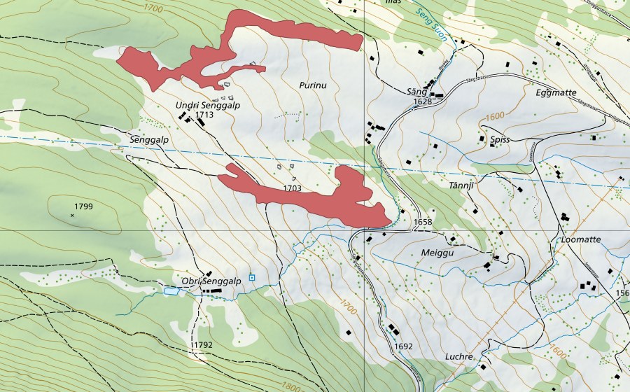 Landeskarte swisstopo mit dem Schutzperimeter von Meigge (Trockenwiese)