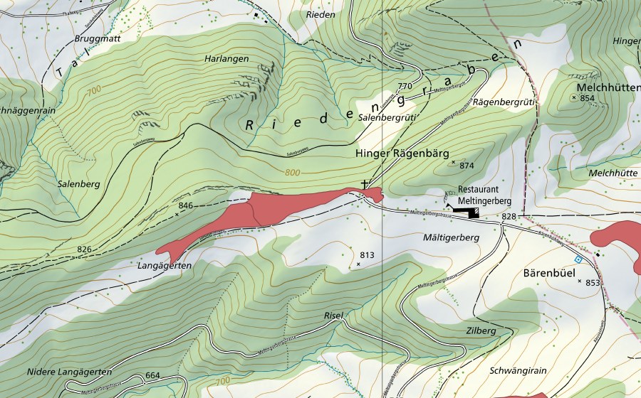 Carta nazionale swisstopo con il perimetro protetto di Meltingerberg (Prato secco)