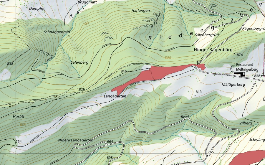 swisstopo national map showing the protected perimeter of Meltingerberg (Dry meadow)