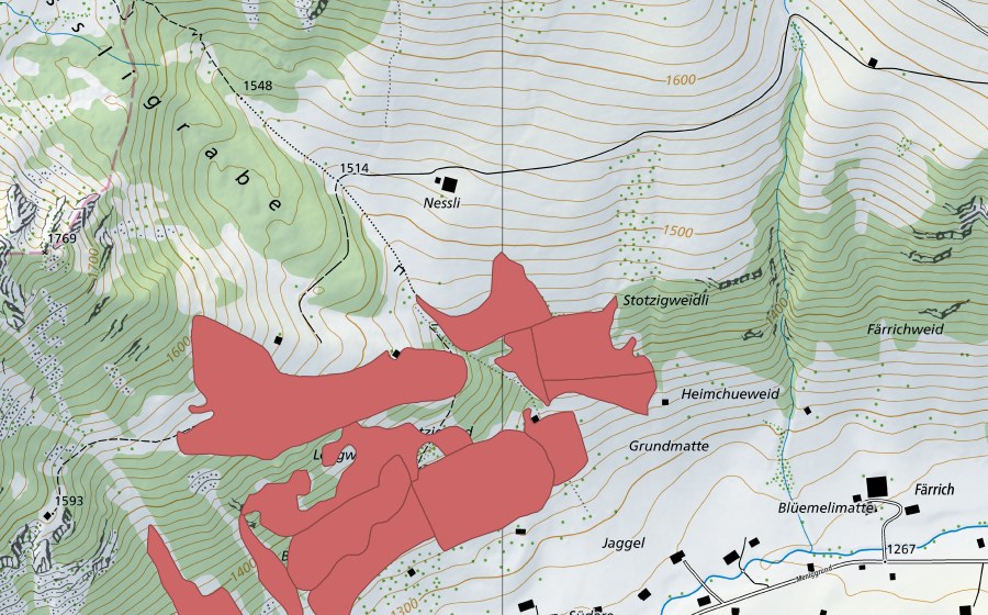 swisstopo national map showing the protected perimeter of Meniggrund (Dry meadow)