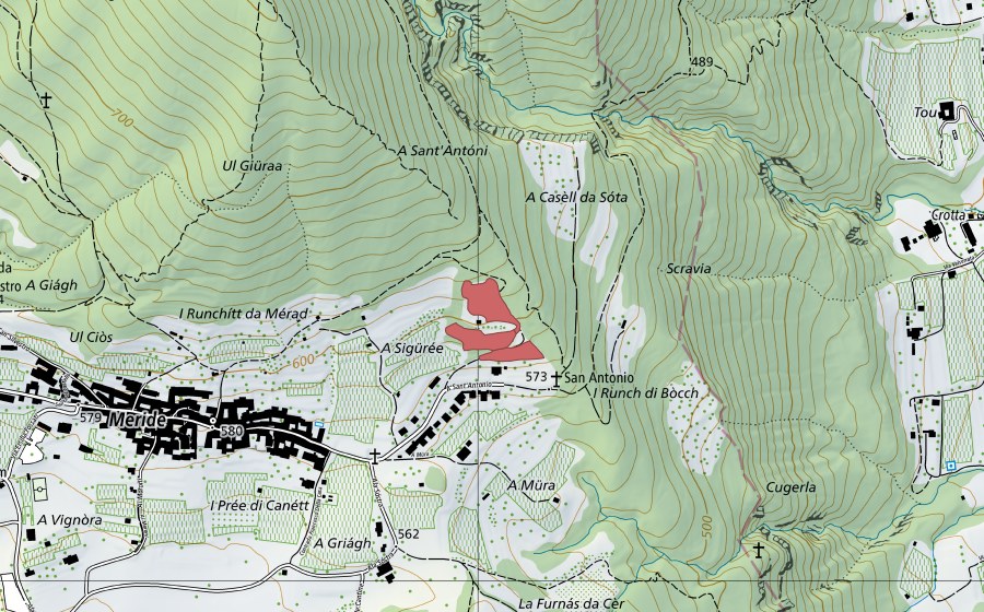swisstopo national map showing the protected perimeter of Meride (Dry meadow)