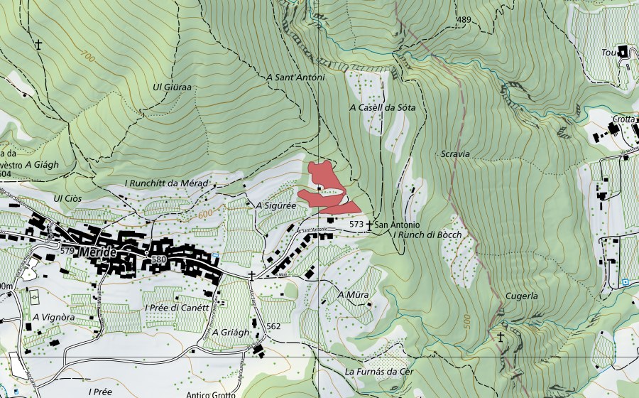 Landeskarte swisstopo mit dem Schutzperimeter von Meride (Trockenwiese)