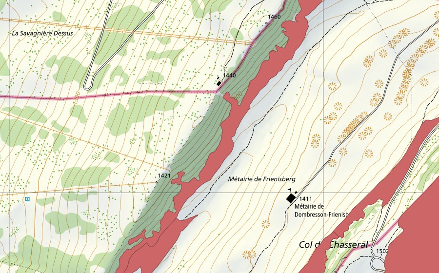 swisstopo national map showing the protected perimeter of Mét. de Dombresson (Dry meadow)