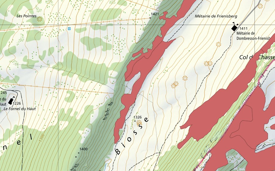 swisstopo national map showing the protected perimeter of Mét. de Dombresson (Dry meadow)