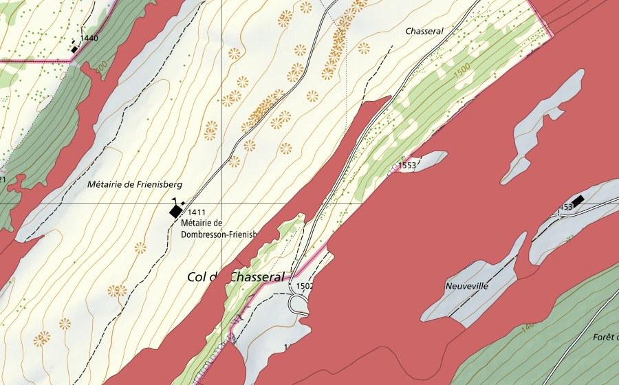 Carta nazionale swisstopo con il perimetro protetto di Mét. de Dombresson (Prato secco)