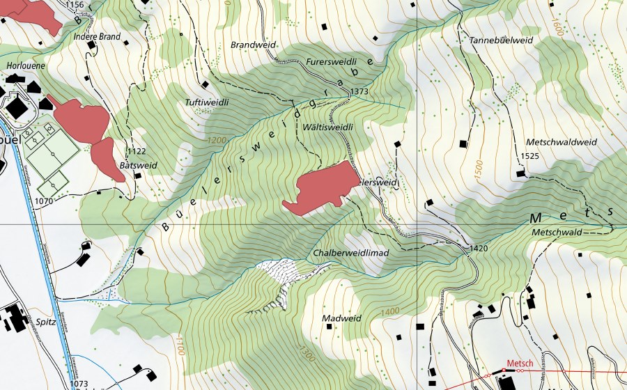 swisstopo national map showing the protected perimeter of Metschwaldweid (Dry meadow)