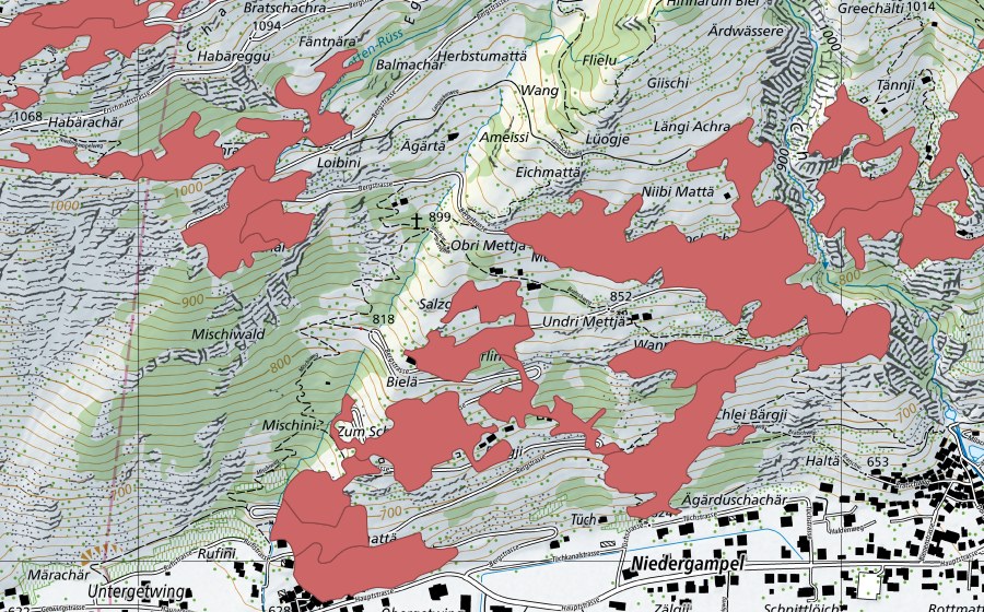 Landeskarte swisstopo mit dem Schutzperimeter von Mettje (Trockenwiese)
