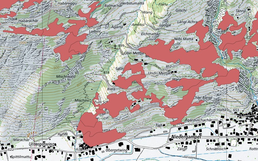 swisstopo national map showing the protected perimeter of Mettje (Dry meadow)