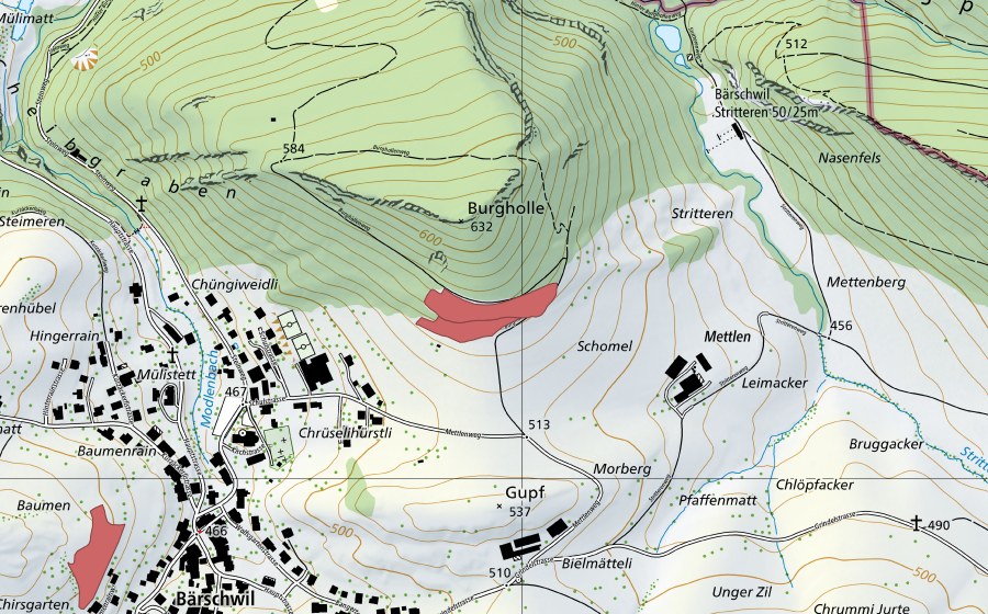 swisstopo national map showing the protected perimeter of Mettlen (Dry meadow)