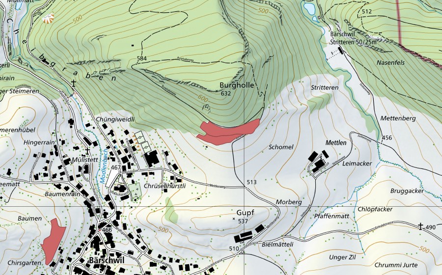 swisstopo national map showing the protected perimeter of Mettlen (Dry meadow)